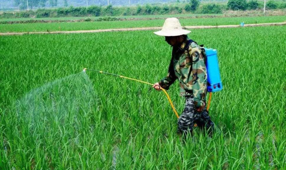 (图:除草剂展示图)