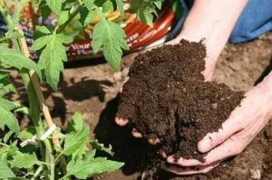 （图：氨基酸肥应用场景）