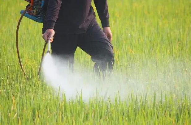 （图：农药应用展示图）